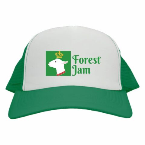 メッシュキャップ